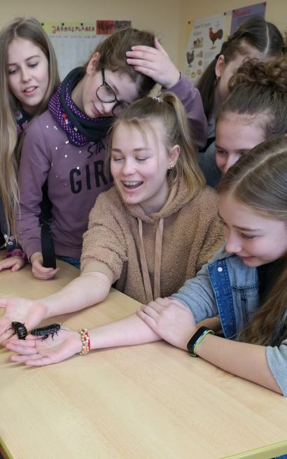 Schülerinnen und Schüler betrachten eine große schwarze Schabe auf der Hand einer Schülerin.